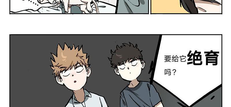 23 猫咪绝育-第22话