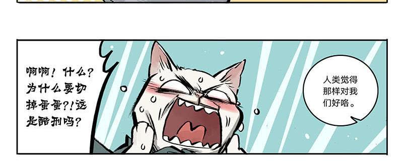 23 猫咪绝育-第22话