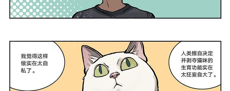 23 猫咪绝育-第22话