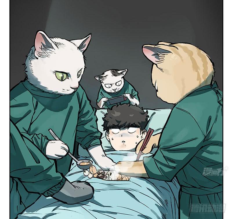 23 猫咪绝育-第22话