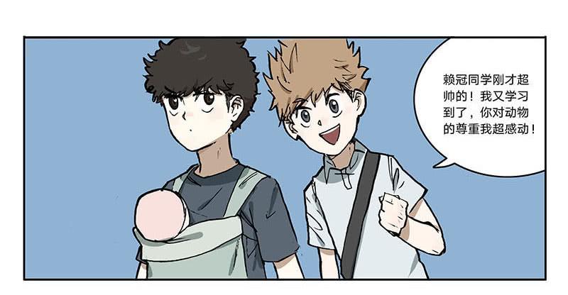 23 猫咪绝育-第22话