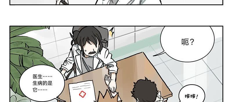 23 猫咪绝育-第22话