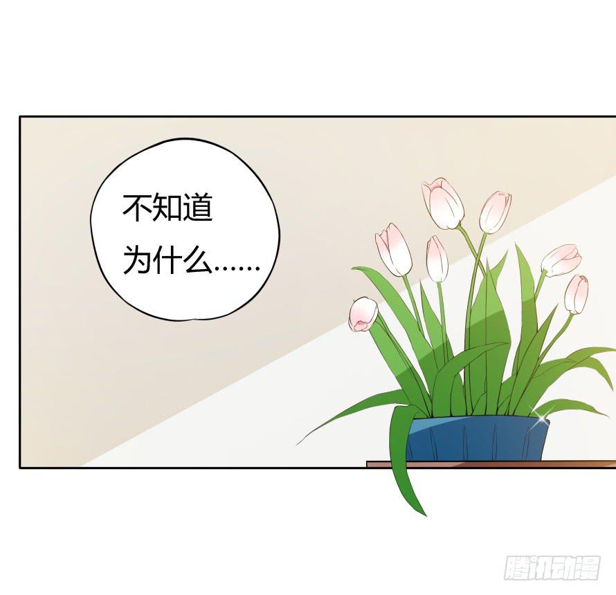 第八十四话：做饭给你吃！-第84话