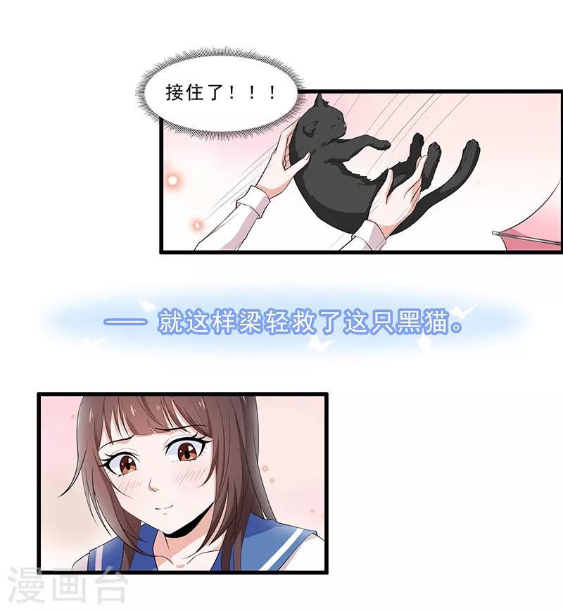 第1话 阿拉丁之猫的报恩-第2话