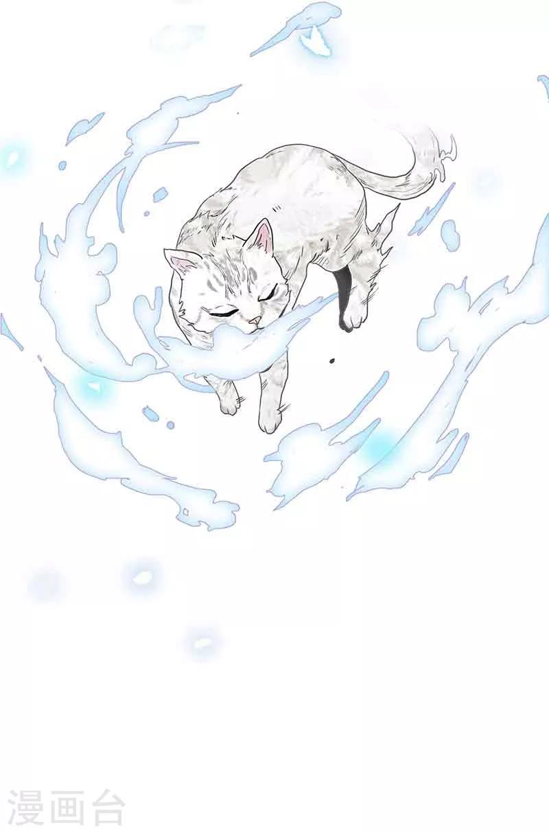 第1话 阿拉丁之猫的报恩-第2话