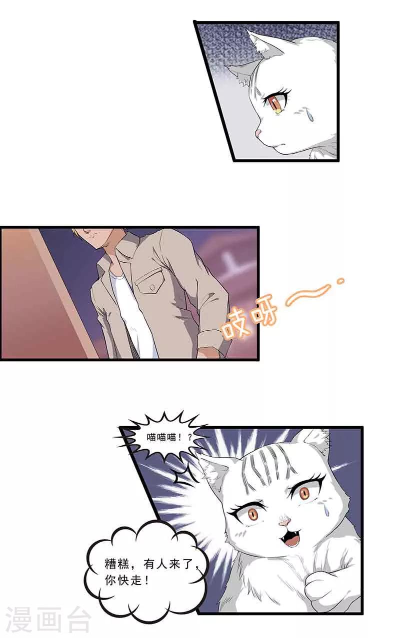 第1话 阿拉丁之猫的报恩-第2话