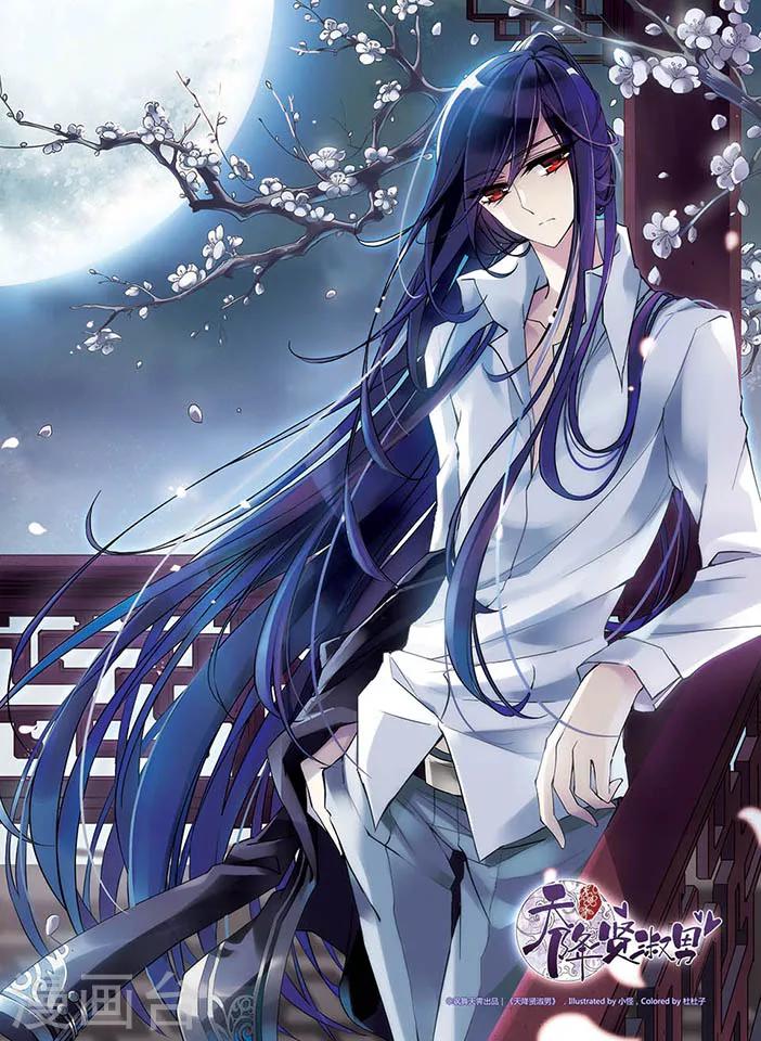 第27话 流浪的小母猫-第28话