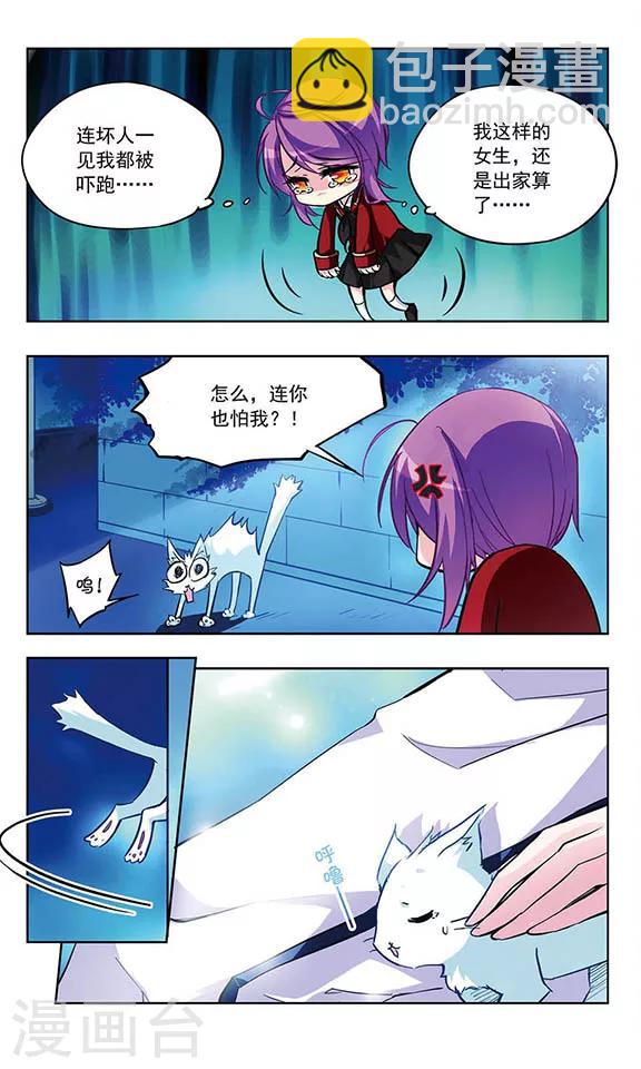 第27话 流浪的小母猫-第28话