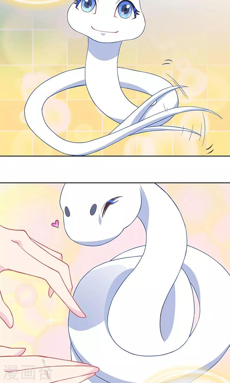 第27话 紫宣要杀我？-第28话