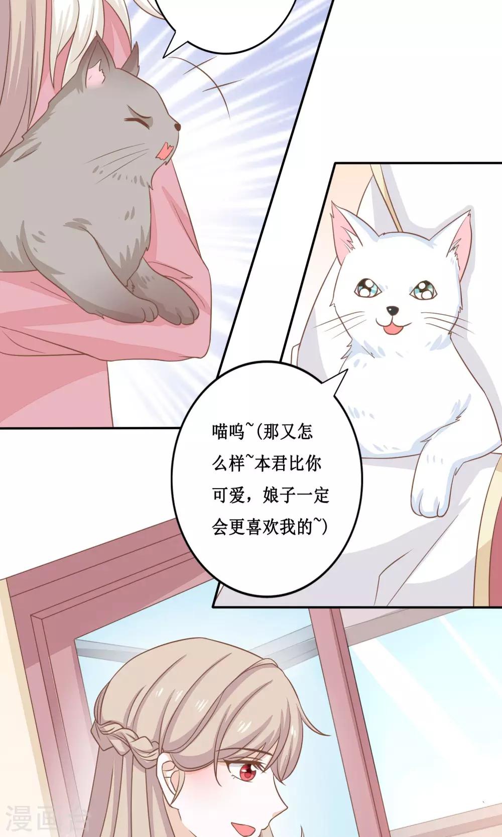 第15话 两猫相斗-第16话