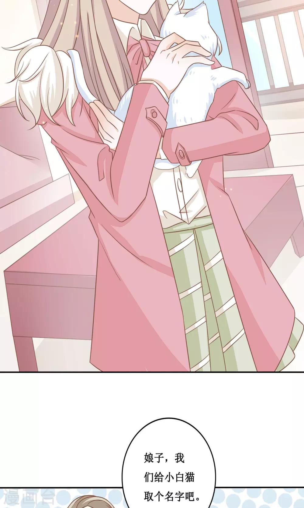 第15话 两猫相斗-第16话