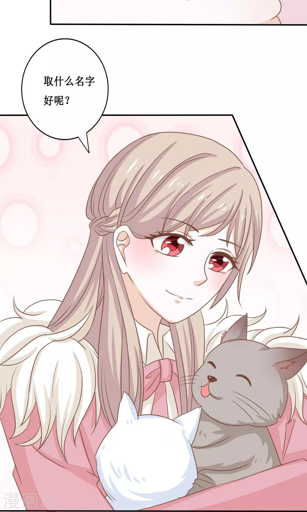 第15话 两猫相斗-第16话