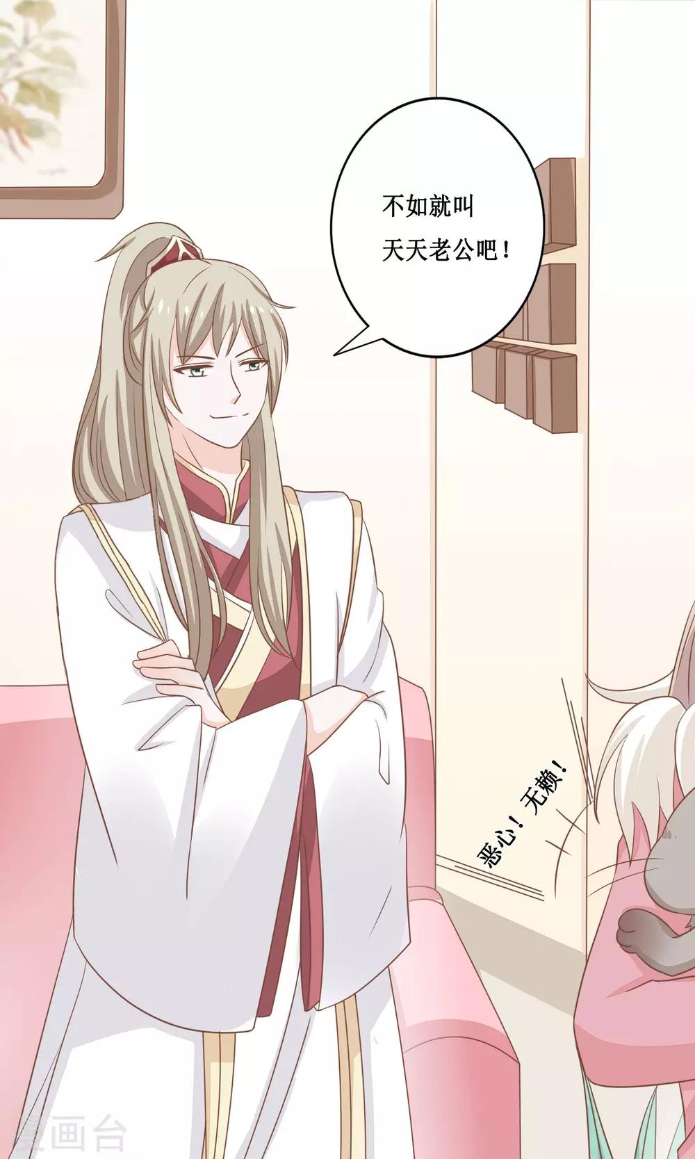 第15话 两猫相斗-第16话