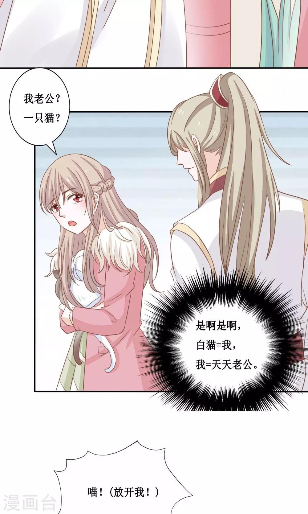 第15话 两猫相斗-第16话