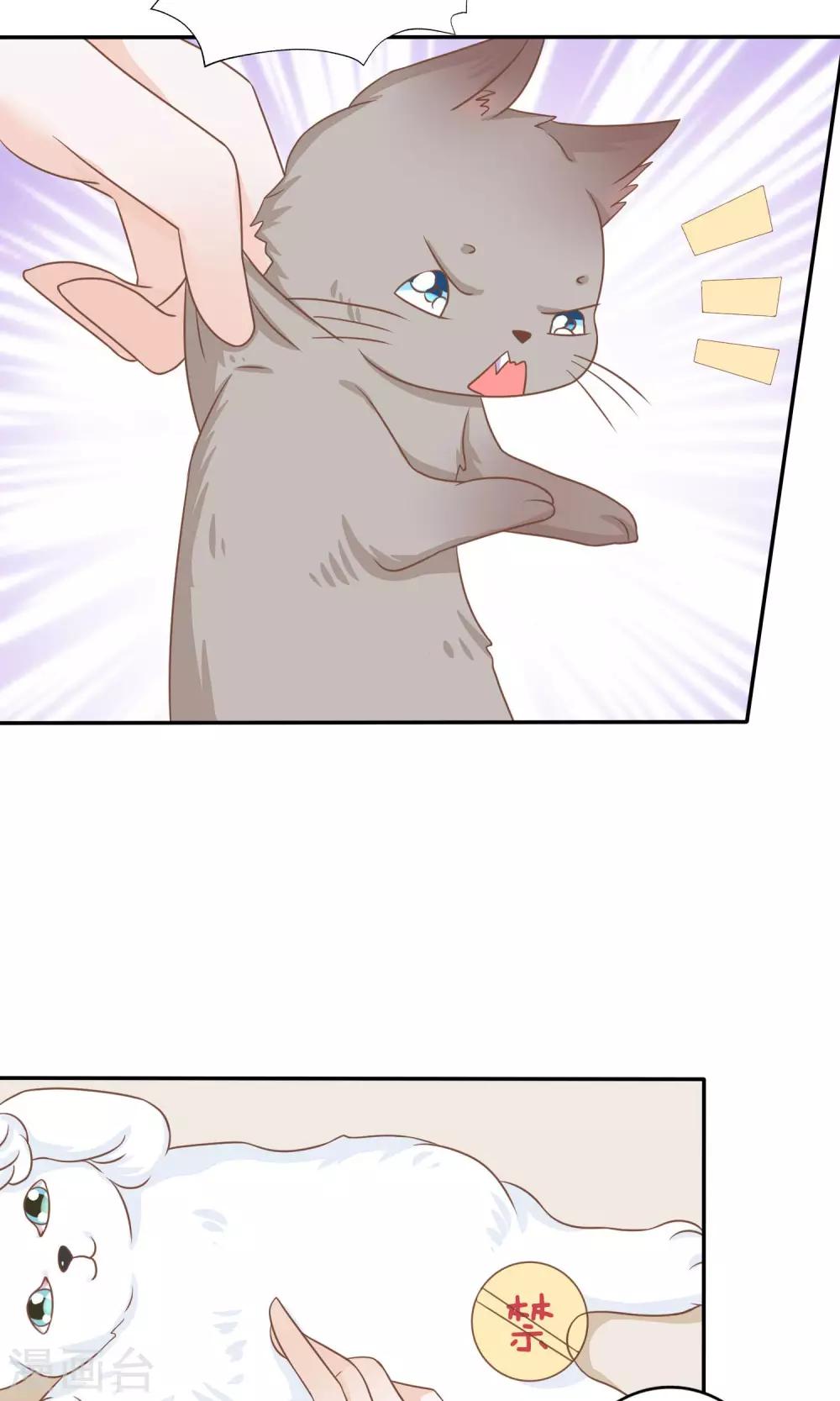 第15话 两猫相斗-第16话