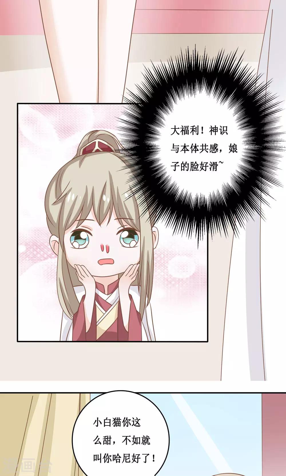 第15话 两猫相斗-第16话