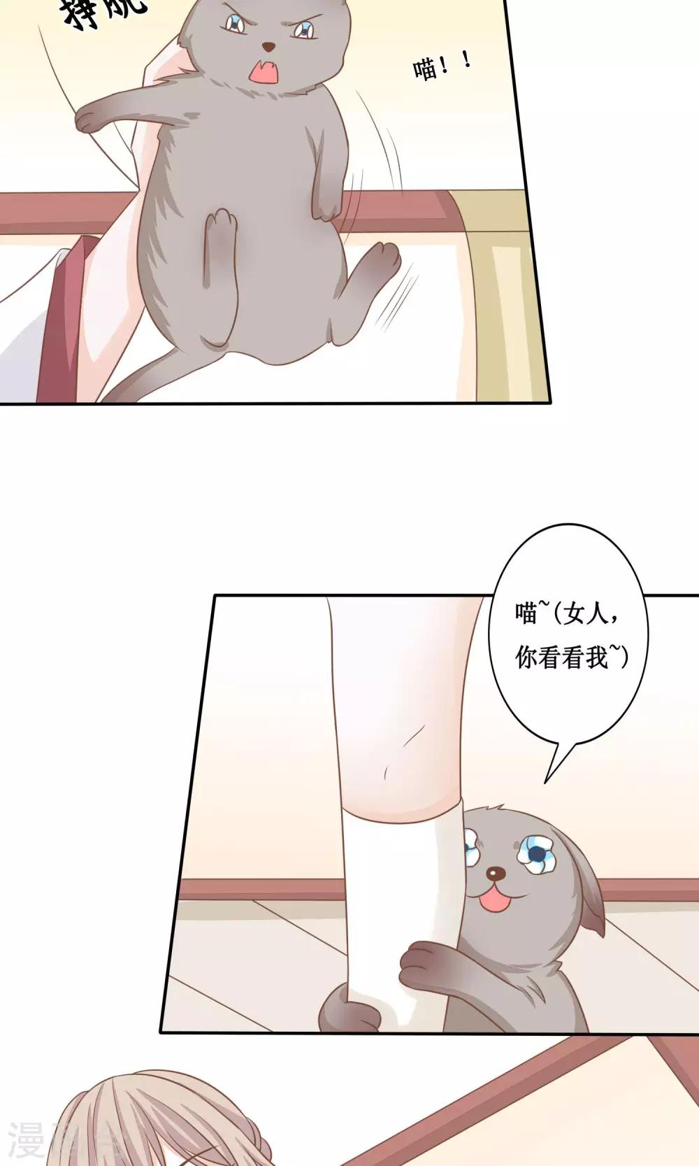 第15话 两猫相斗-第16话