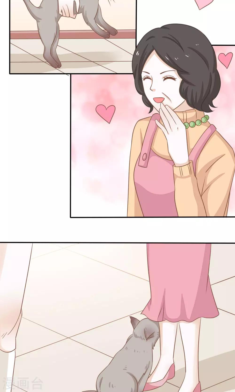 第15话 两猫相斗-第16话