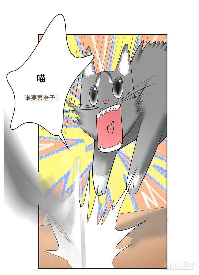 第13话 什嘛！卖店！！-第14话