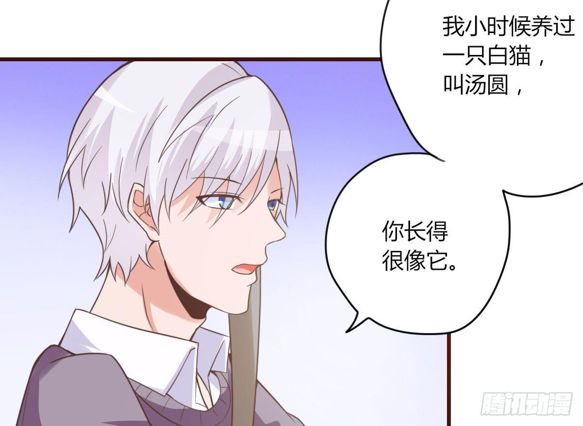 我是汤圆你就是安卓(1/2)-第66话