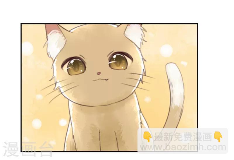 第4话 诅咒解除-第4话