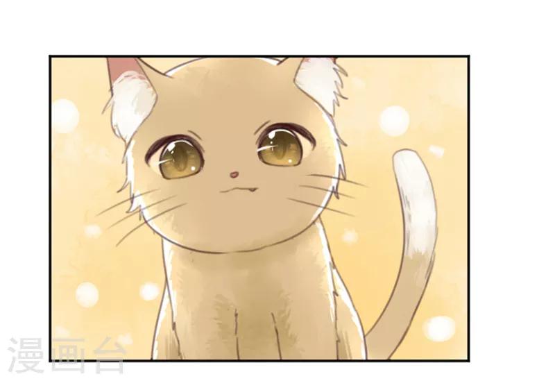 第4话 诅咒解除-第4话