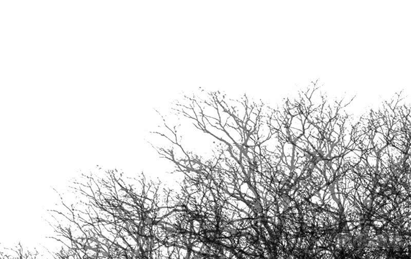 第52话 魑魅魍魉行世间-第52话