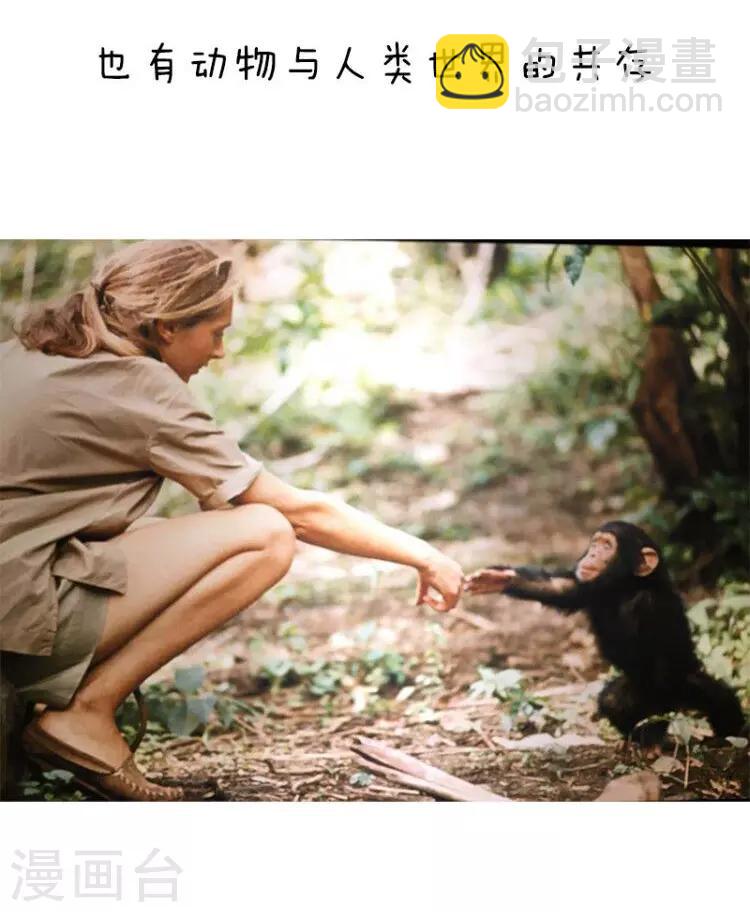 第105话 表情包丨原来我们对塑料的危害一无所知-第106话