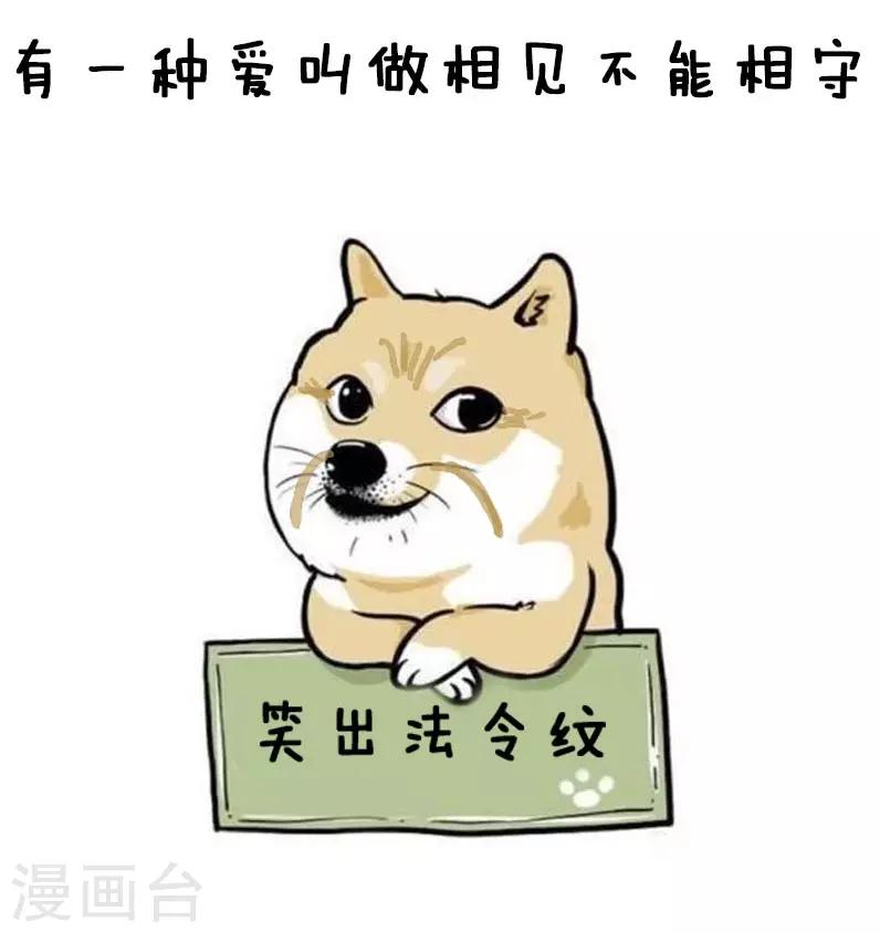 第26话 反狗粮攻略-第26话