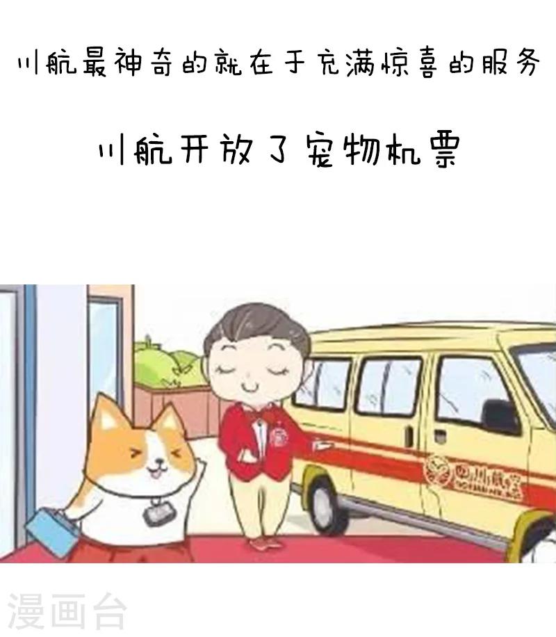 第91话 原来你是这种川航-第92话