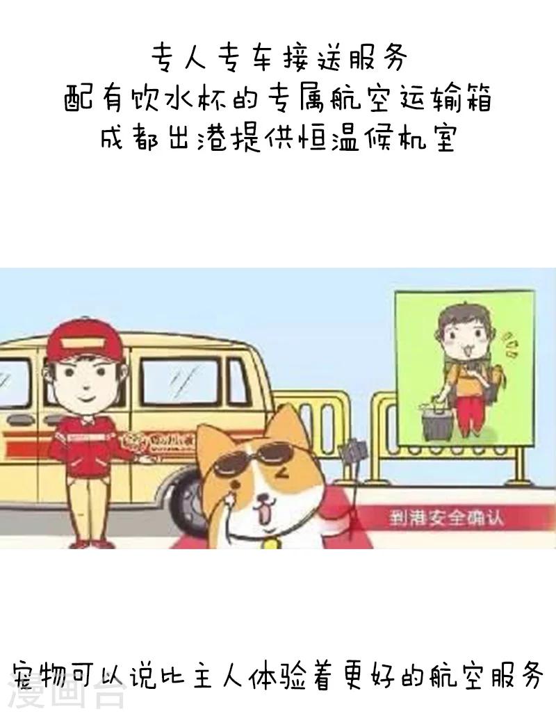 第91话 原来你是这种川航-第92话