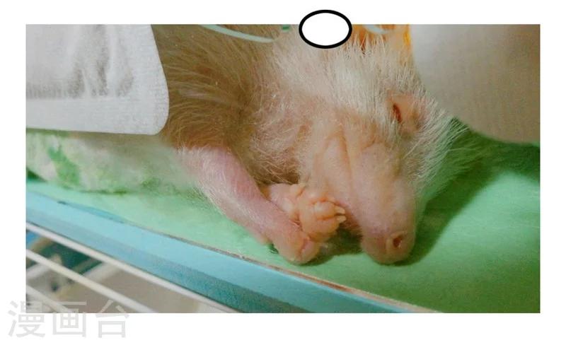 第44话 目睹这一幕-第44话