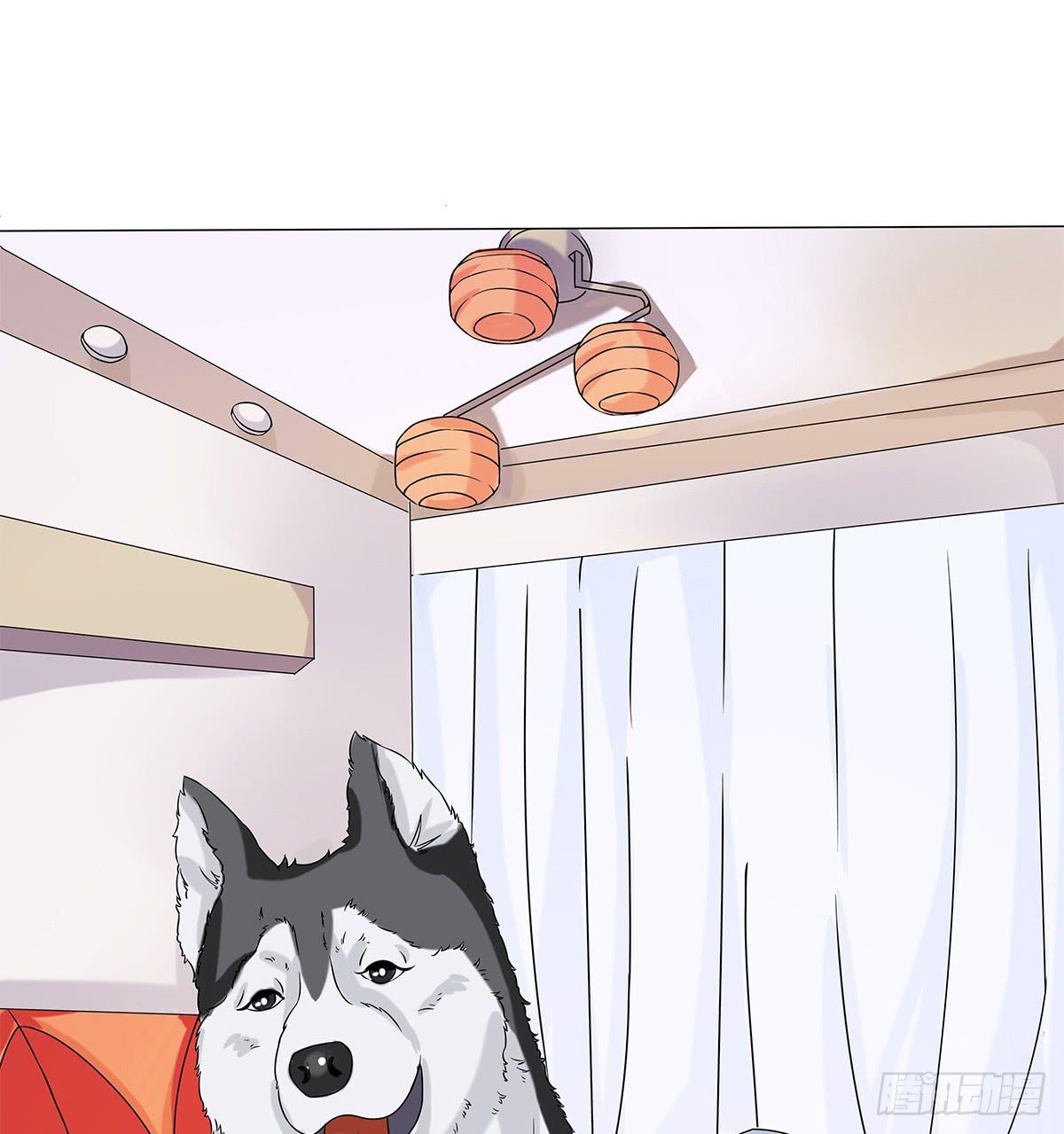 奇怪的守护者(1/3)-第6话