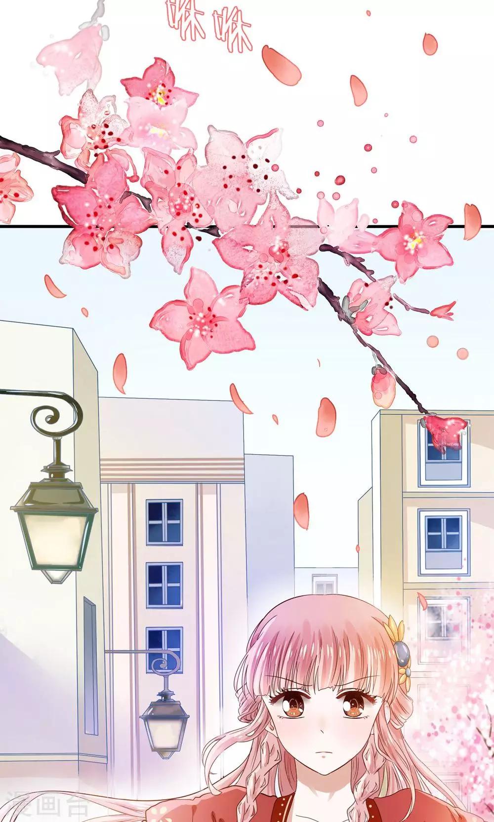 第1话 国宝横出于世-第2话