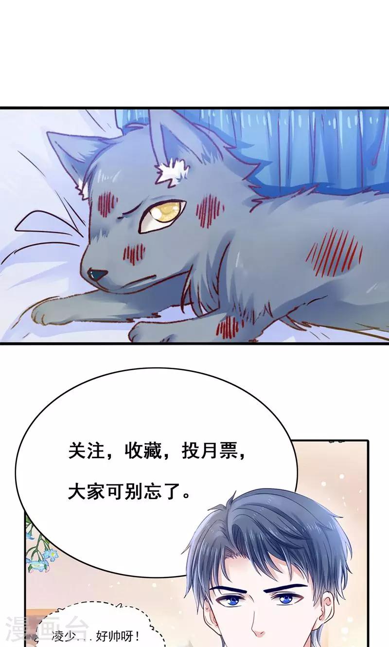 第31话 小狼崽的前尘往事-第32话