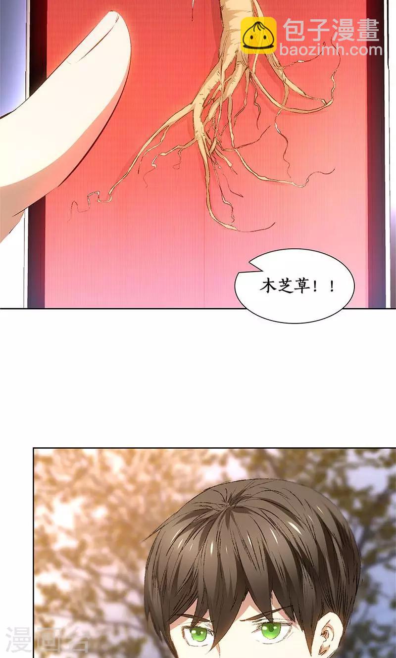 第19话 木芝草-第20话