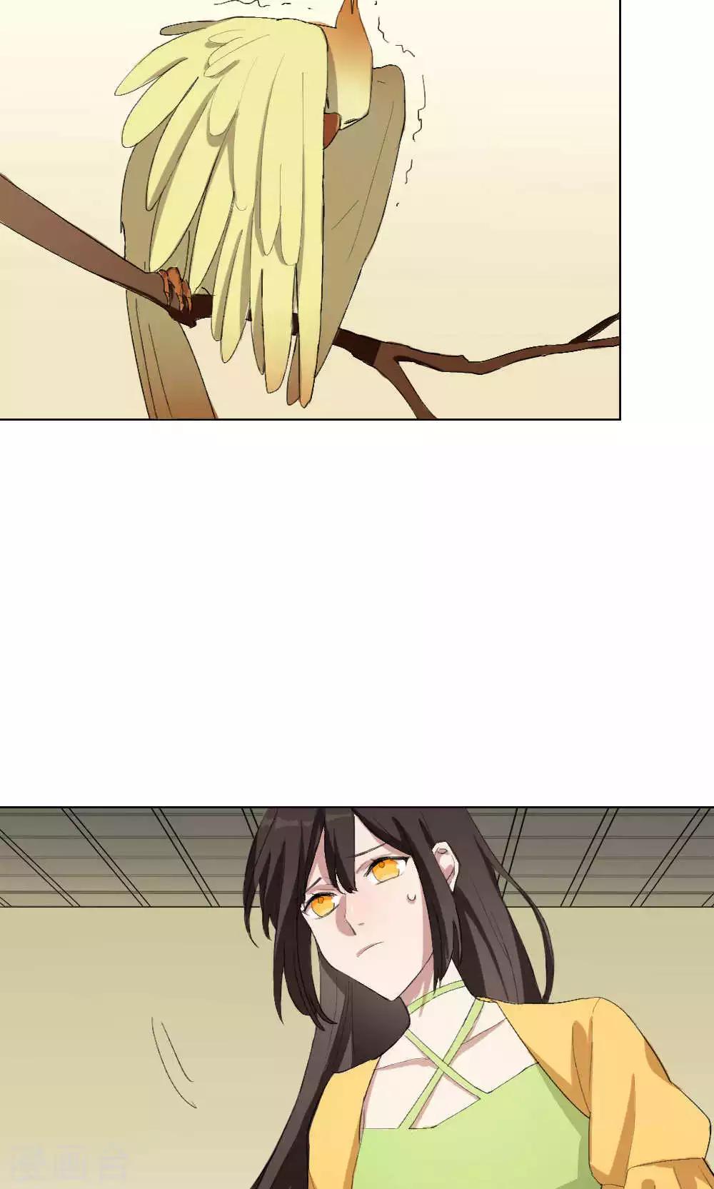 第6话 养龙日记3(1/2)-第6话