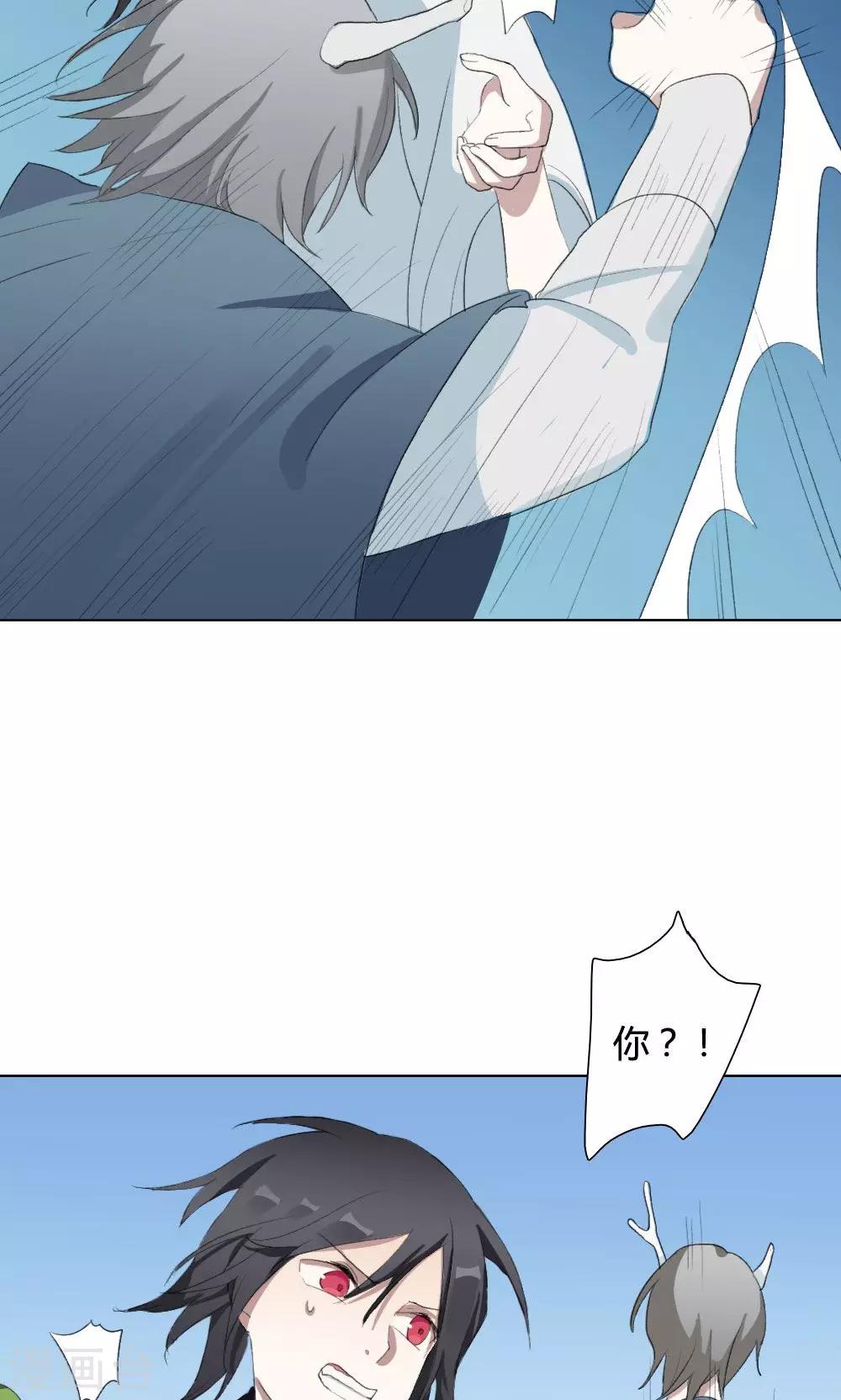 第8话 养龙日记5(1/2)-第8话