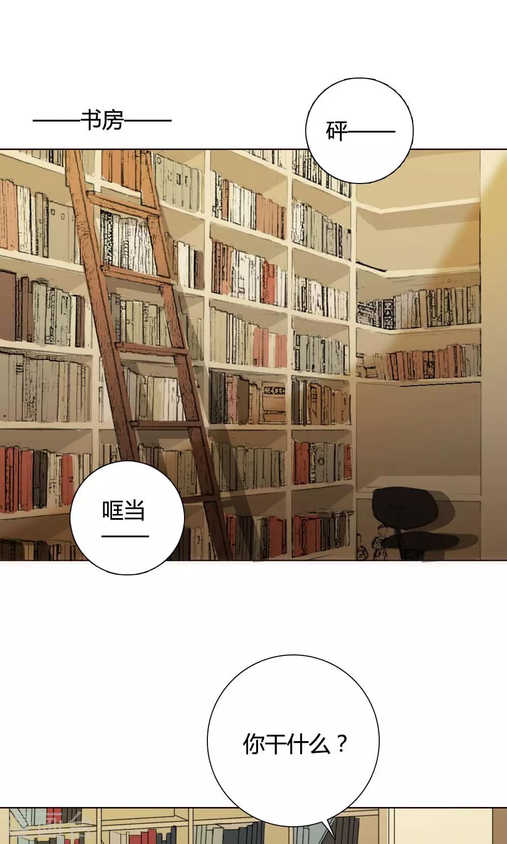 第8话 养龙日记5(1/2)-第8话