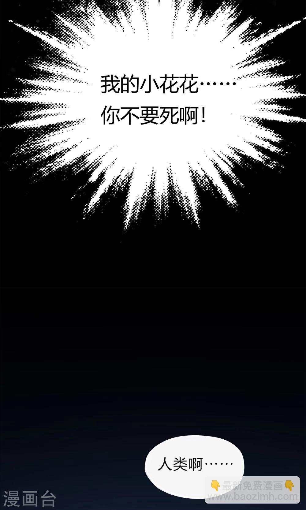 序章 与白色精灵的相遇-第2话