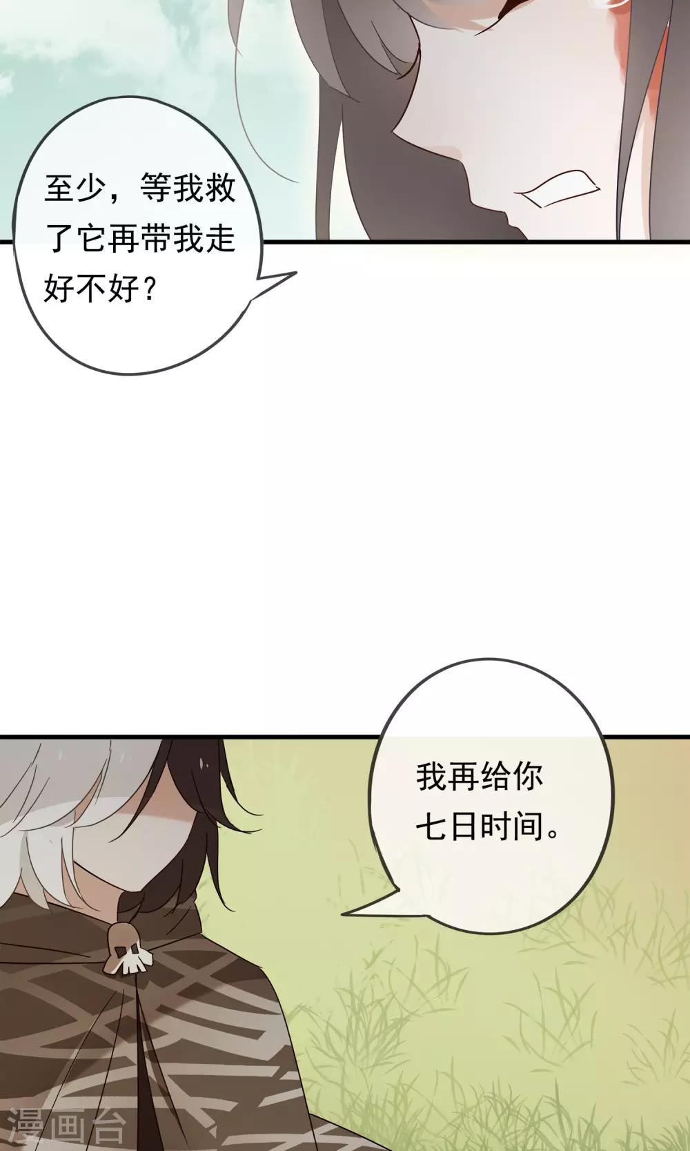 第24话 好久不见，猫大人-第26话