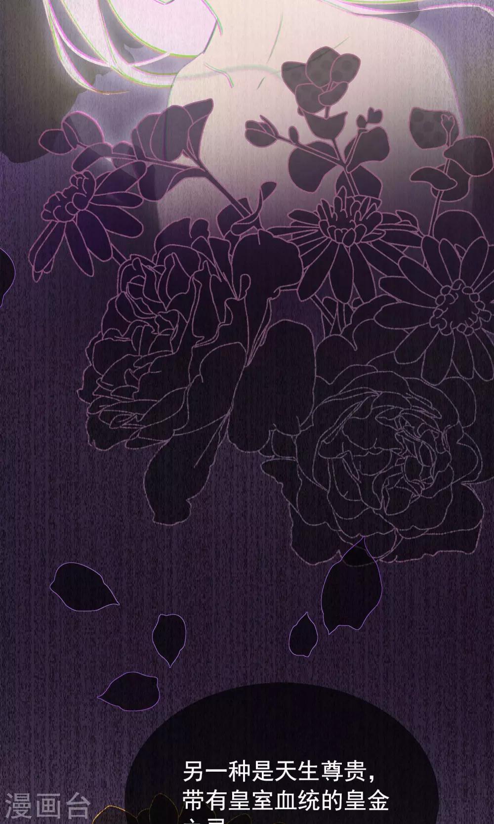 第37话 小狼与兰草-第40话