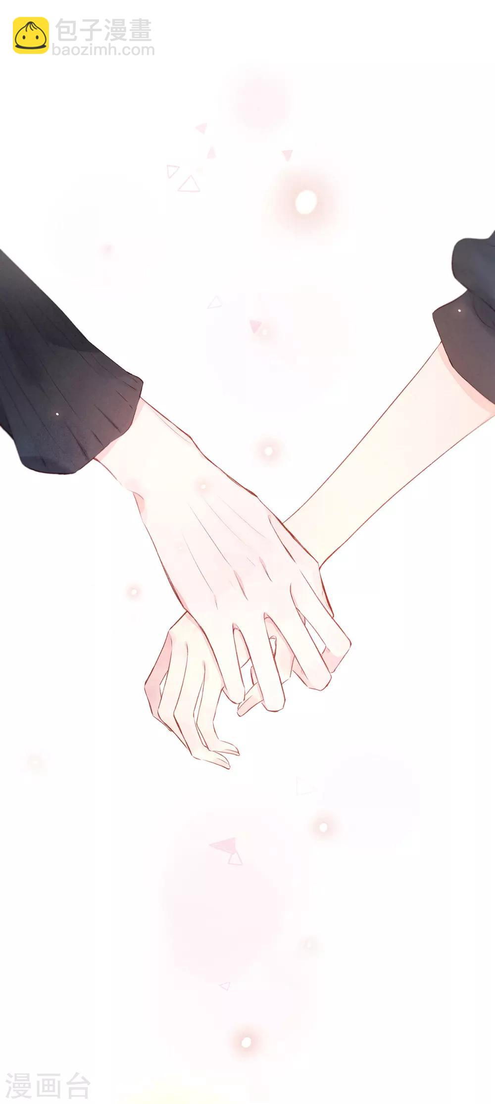 第8话 寻找浣熊-第10话