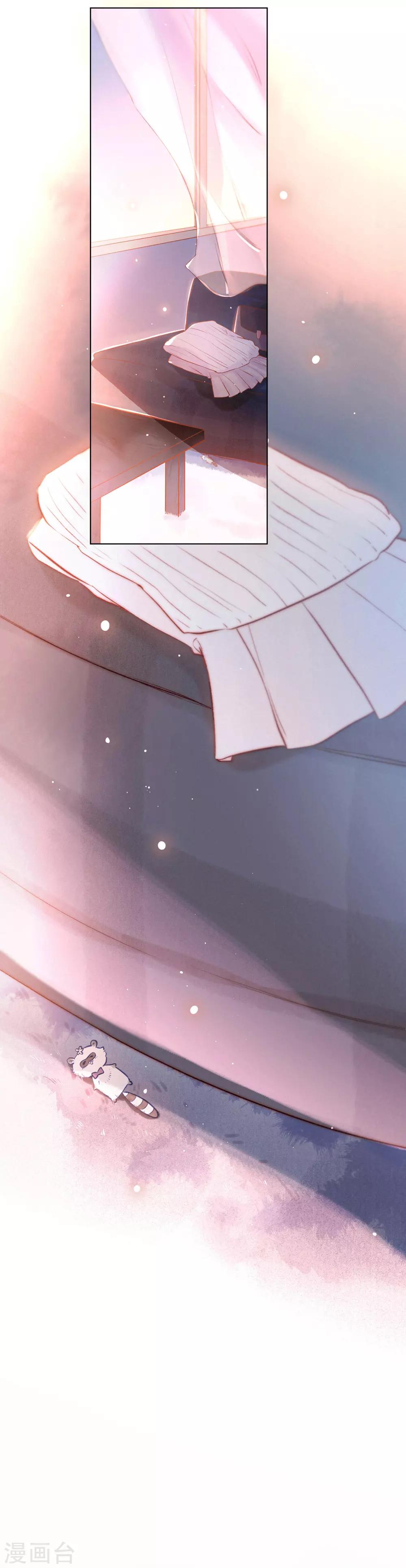 第8话 寻找浣熊-第10话