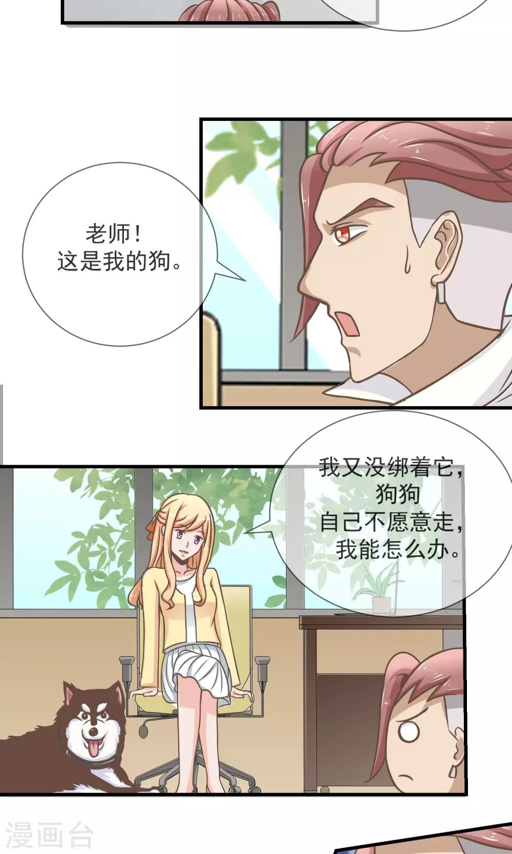 第15话 报复不成还丢了狗-第16话
