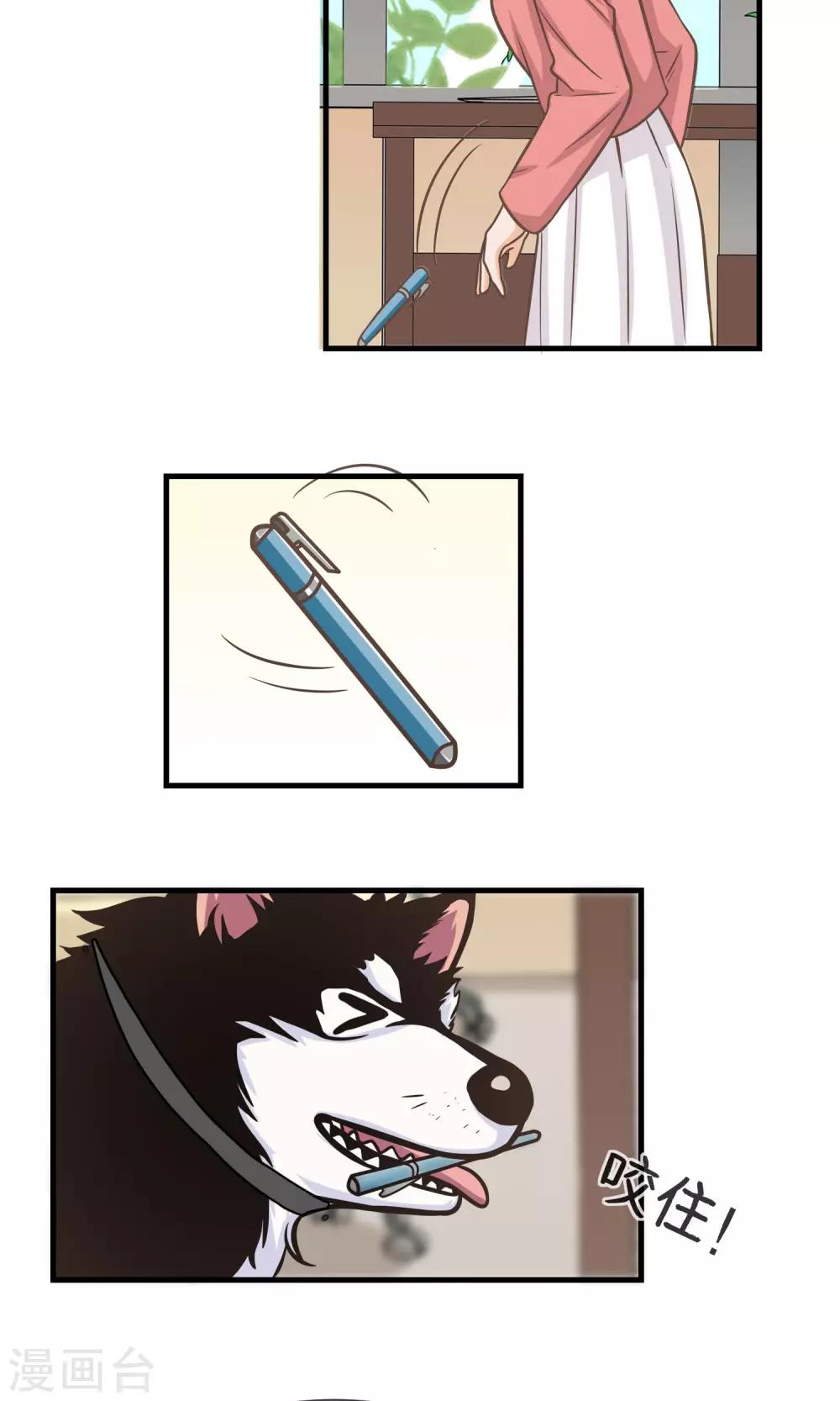 第15话 报复不成还丢了狗-第16话