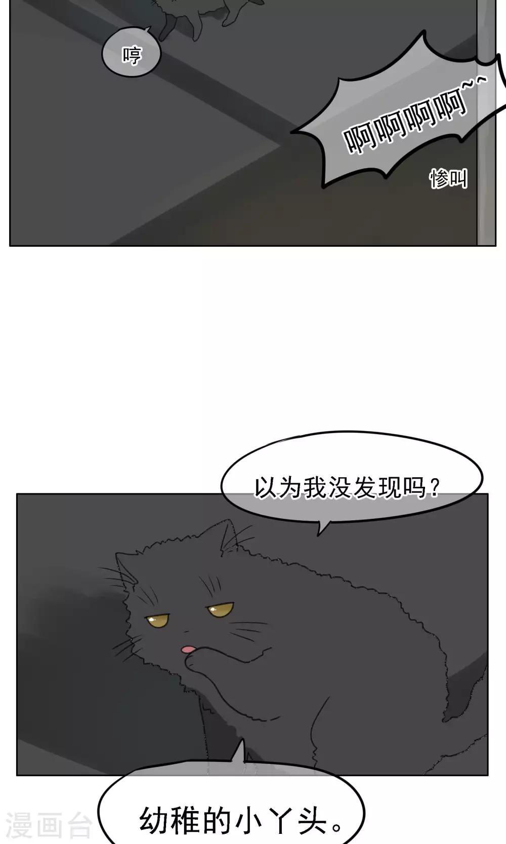 第15话 女武神-第16话