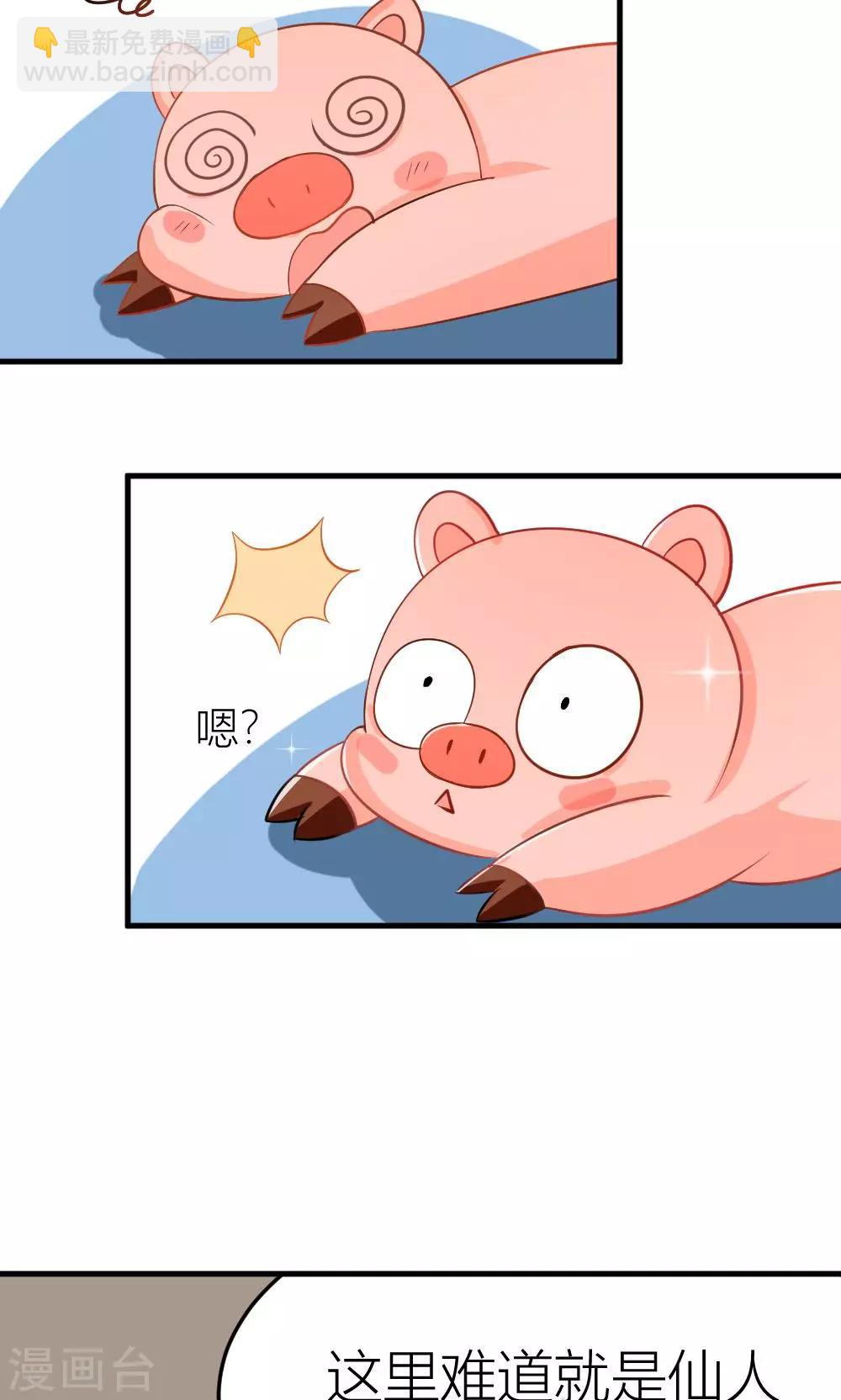 我的徒弟是隻豬 - 第3話 被收徒了？！ - 1