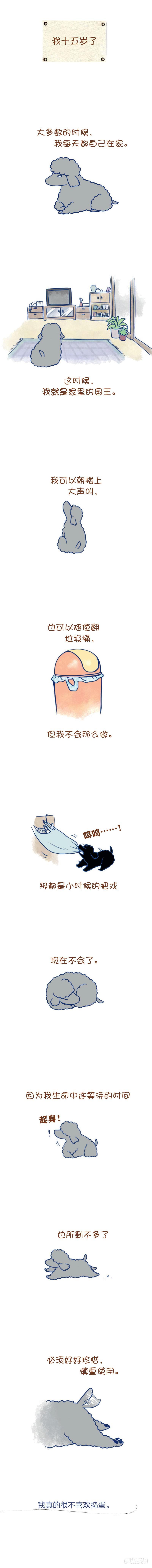 6.我十五岁了-第6话