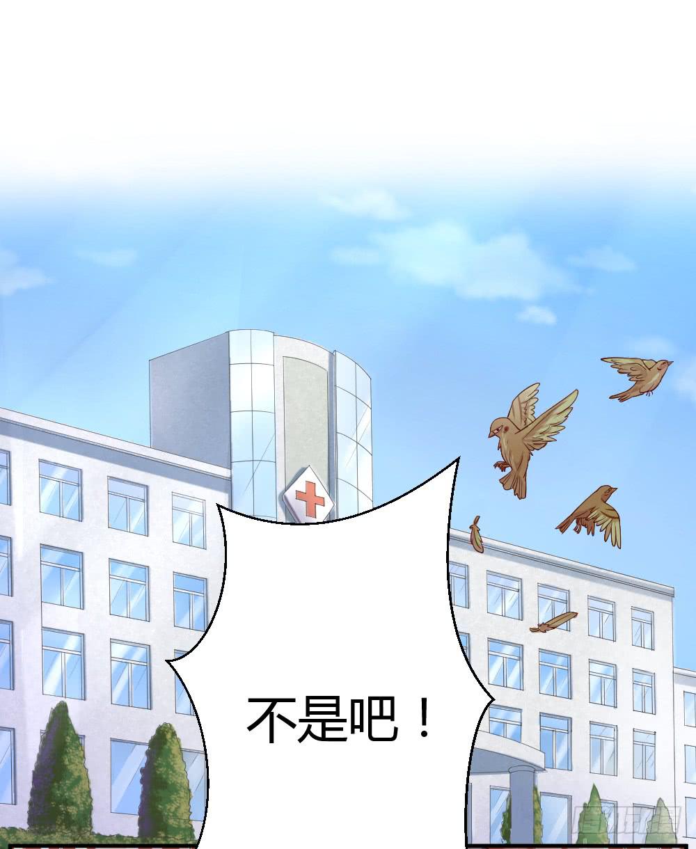 十面埋伏(1/2)-第12话